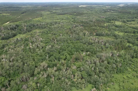 Tbd 350th Street Menahga MN 56464