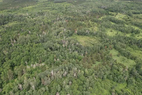 Tbd 350th Street Menahga MN 56464
