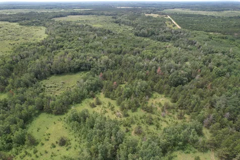 Tbd 350th Street Menahga MN 56464