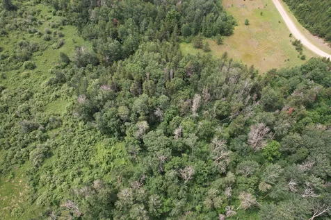 Tbd 350th Street Menahga MN 56464