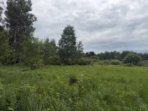 Tbd 350th Street Menahga MN 56464