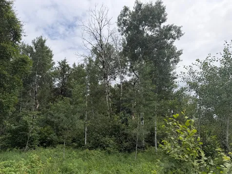 Tbd 350th Street Menahga MN 56464