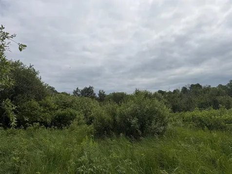 Tbd 350th Street Menahga MN 56464