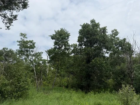 Tbd 350th Street Menahga MN 56464