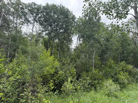 Tbd 350th Street Menahga MN 56464