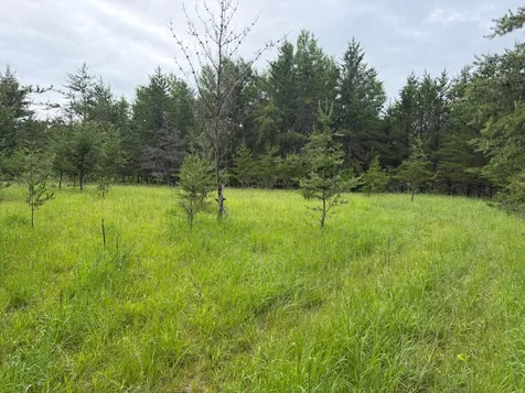 Tbd 350th Street Menahga MN 56464