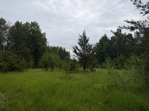 Tbd 350th Street Menahga MN 56464