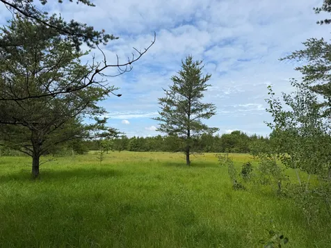 Tbd 350th Street Menahga MN 56464