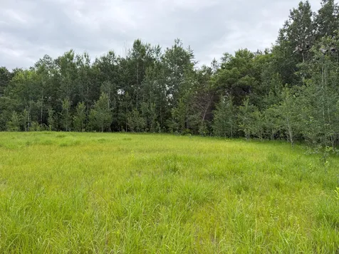 Tbd 350th Street Menahga MN 56464
