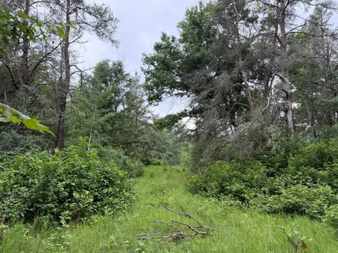 Tbd 350th Street Menahga MN 56464
