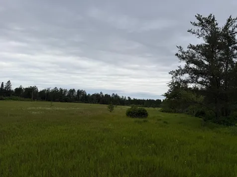Tbd 350th Street Menahga MN 56464