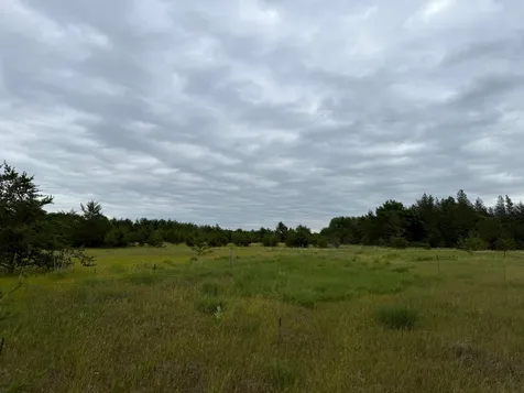 Tbd 350th Street Menahga MN 56464