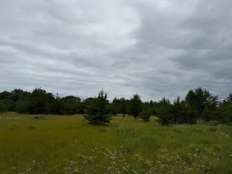 Tbd 350th Street Menahga MN 56464