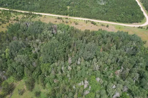 Tbd 350th Street Menahga MN 56464