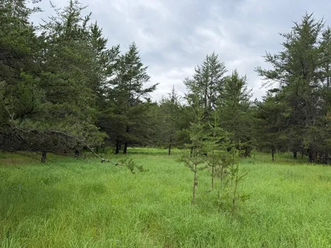 Tbd 350th Street Menahga MN 56464