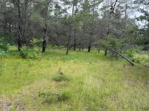 Tbd 350th Street Menahga MN 56464