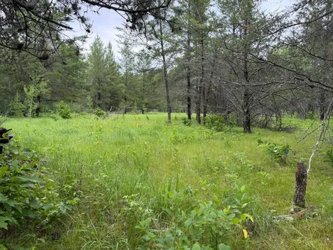 Tbd 350th Street Menahga MN 56464