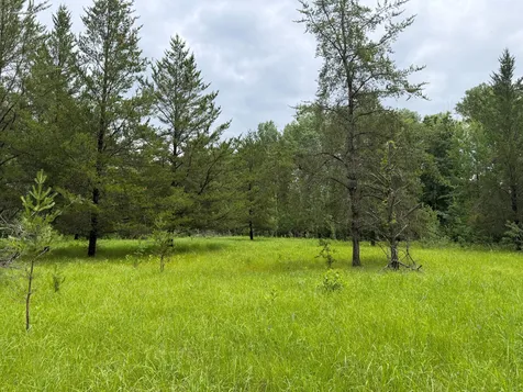 Tbd 350th Street Menahga MN 56464