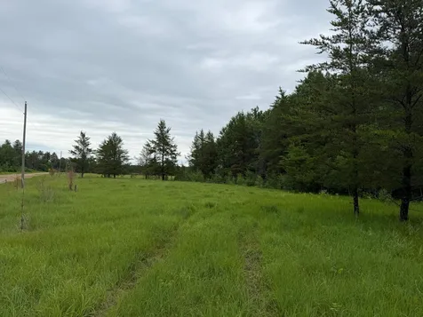 Tbd- 350th Street Menahga MN 56464