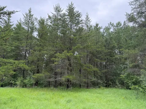 Tbd- 350th Street Menahga MN 56464