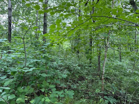 Tbd- 350th Street Menahga MN 56464