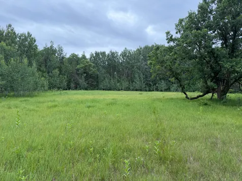 Tbd- 350th Street Menahga MN 56464