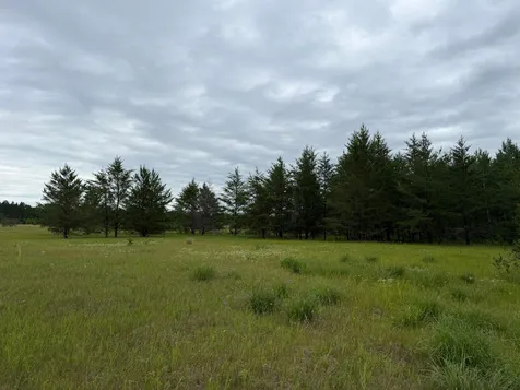 Tbd- 350th Street Menahga MN 56464