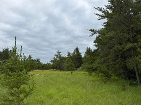 Tbd- 350th Street Menahga MN 56464