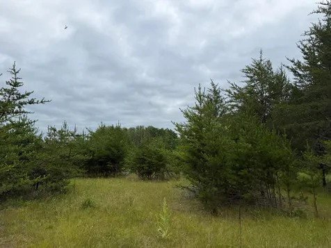 Tbd- 350th Street Menahga MN 56464
