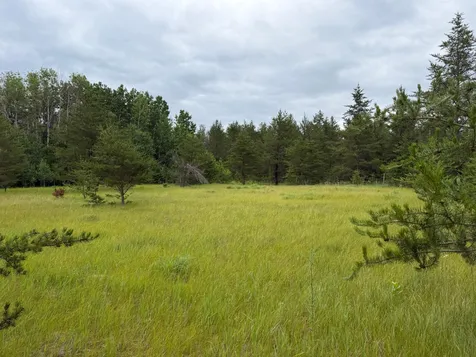 Tbd- 350th Street Menahga MN 56464