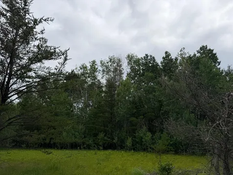 Tbd- 350th Street Menahga MN 56464