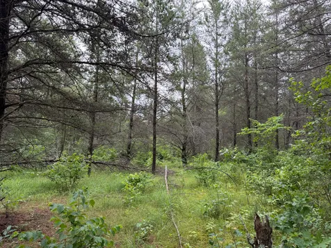Tbd- 350th Street Menahga MN 56464