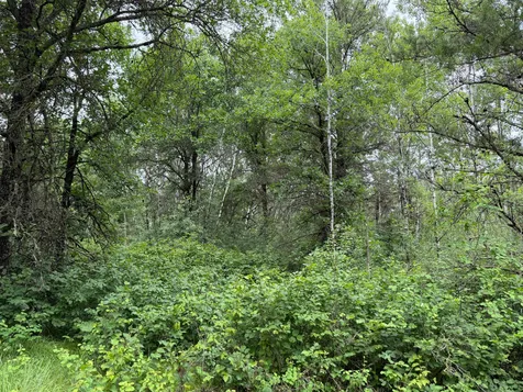 Tbd- 350th Street Menahga MN 56464
