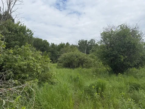 Tbd- 350th Street Menahga MN 56464