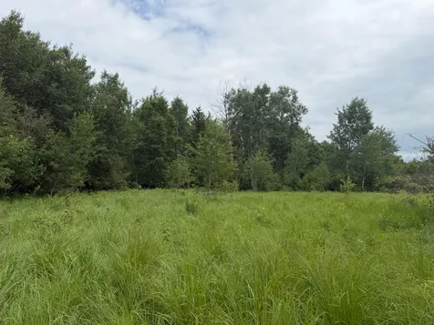 Tbd- 350th Street Menahga MN 56464
