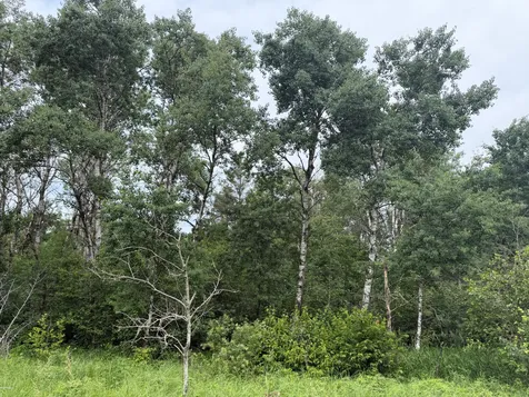 Tbd- 350th Street Menahga MN 56464