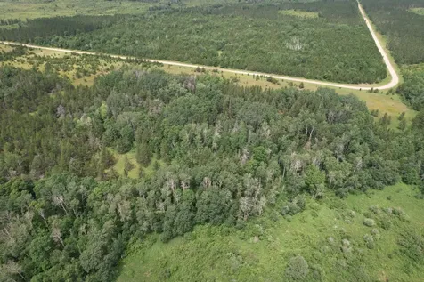 Tbd- 350th Street Menahga MN 56464