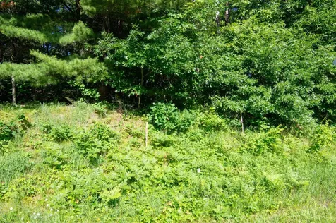 Xxx County Road 19 Merrifield MN 56465
