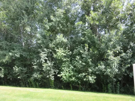 5675 200th Street W Farmington MN 55024