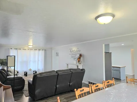 3414 County Road 32 S Loman MN 56654