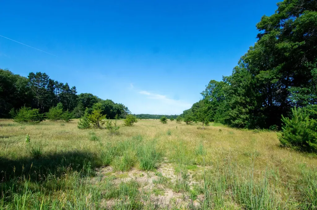 Tbd County Road 19 Merrifield MN 56465
