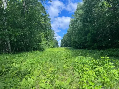 Tbd Cedar Road Cushing MN 56443