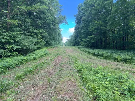 Tbd Cedar Road Cushing MN 56443