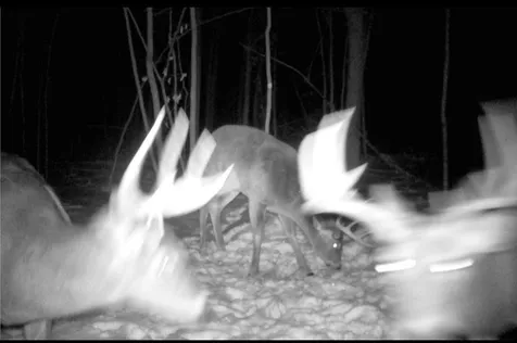 Tbd Cedar Road Cushing MN 56443