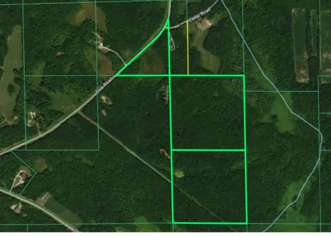 Tbd Cedar Road Cushing MN 56443