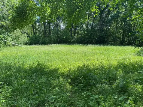 Tbd Cedar Road Cushing MN 56443