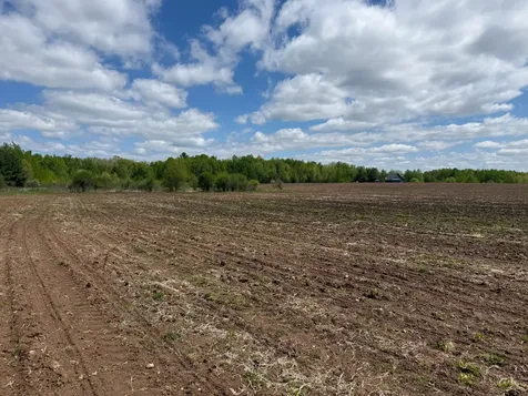 Na Rice Street Braham MN 55006