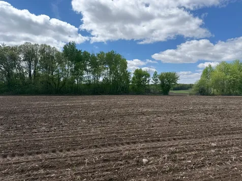 Na Rice Street Braham MN 55006