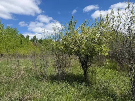 Na Rice Street Braham MN 55006