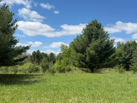 Na Rice Street Braham MN 55006